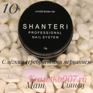 Shanteri UV/LED Builder Gel 15гр №10