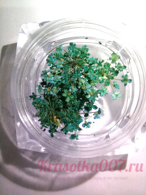 Сухоцветы для ногтей морская волна, 10 шт