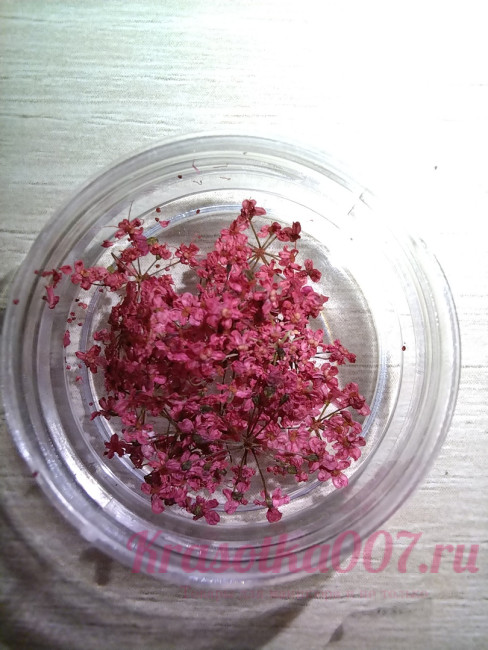 Сухоцветы для ногтей красные, 10шт