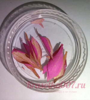 Сухоцветы для ногтей листья