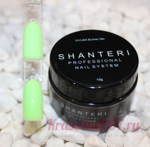 Shanteri Builder Gel Неон Нюд15гр №3