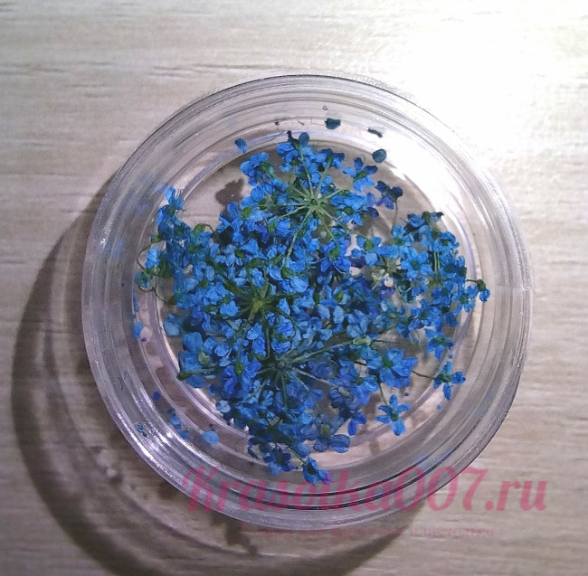 Сухоцветы для ногтей голубые, 10 шт