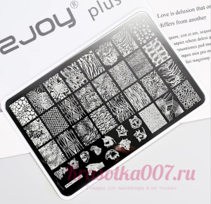 Пластина для стемпинга SJOY plus 048