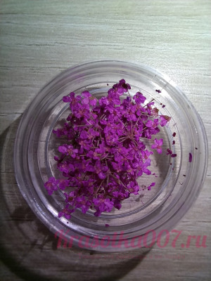 Сухоцветы для ногтей розовые, 10шт