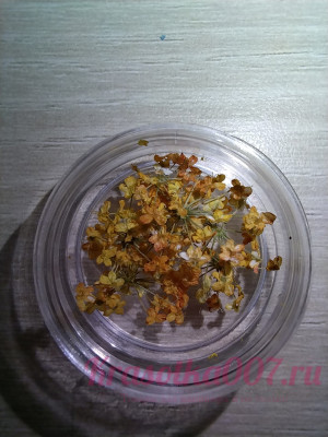 Сухоцветы для ногтей желтые, 10шт