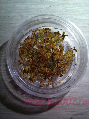 Сухоцветы для ногтей горчичные, 10шт