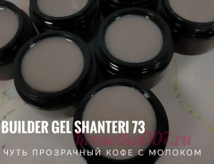 Shanteri UV/LED Builder Gel 15гр №73
