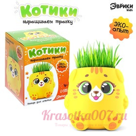 Набор для опытов «Котики. Выращиваем травку», жёлтый горшочек