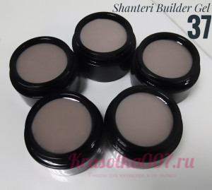 Shanteri UV/LED Builder Gel 15гр №37