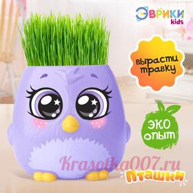 Набор для опытов «Пташки, выращиваем травку», фиолетовый горшочек