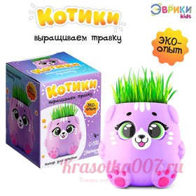 Набор для опытов «Котики. Выращиваем травку», фиолетовый горшочек