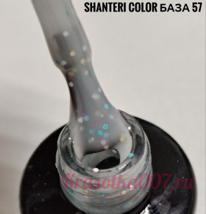 Shanteri, Color Base, 57 , 8 мл