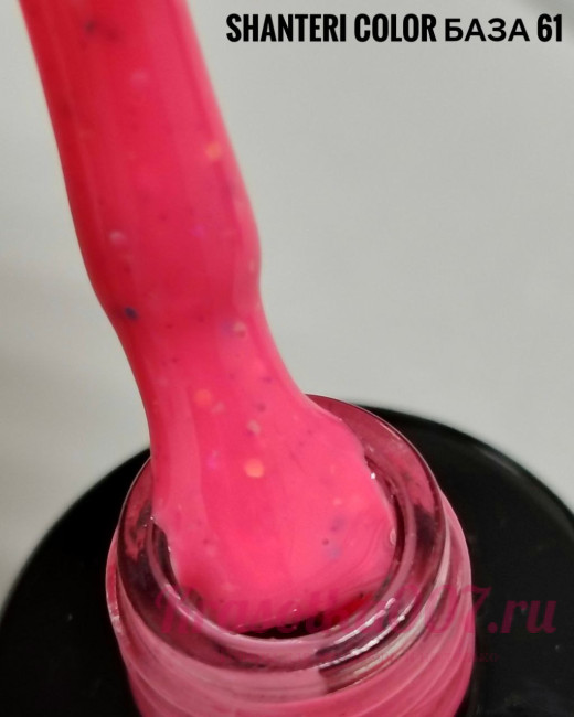 Shanteri, Color Base, 61 , 8 мл