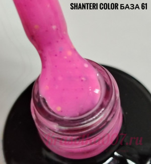 Shanteri, Color Base, 61 , 8 мл